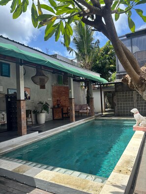 Ein Swimmingpool mit Steinrand, eine überdachte Terrasse mit Sofa und Sesseln sowie eine Hundestatue.