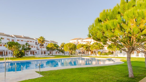 A swimming pool surrounded by a well-maintained lawn, with white buildings in the background.
