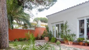 A courtyard with a white building, potted plants, and a palm tree. - Villa The Beach 14882 (Chiclana de la Frontera)