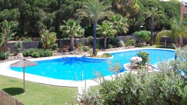 Una piscina circondata da vegetazione rigogliosa e un pontile in legno.