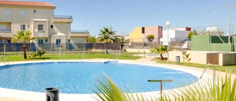 A swimming pool surrounded by a fence, with a palm tree in the foreground.