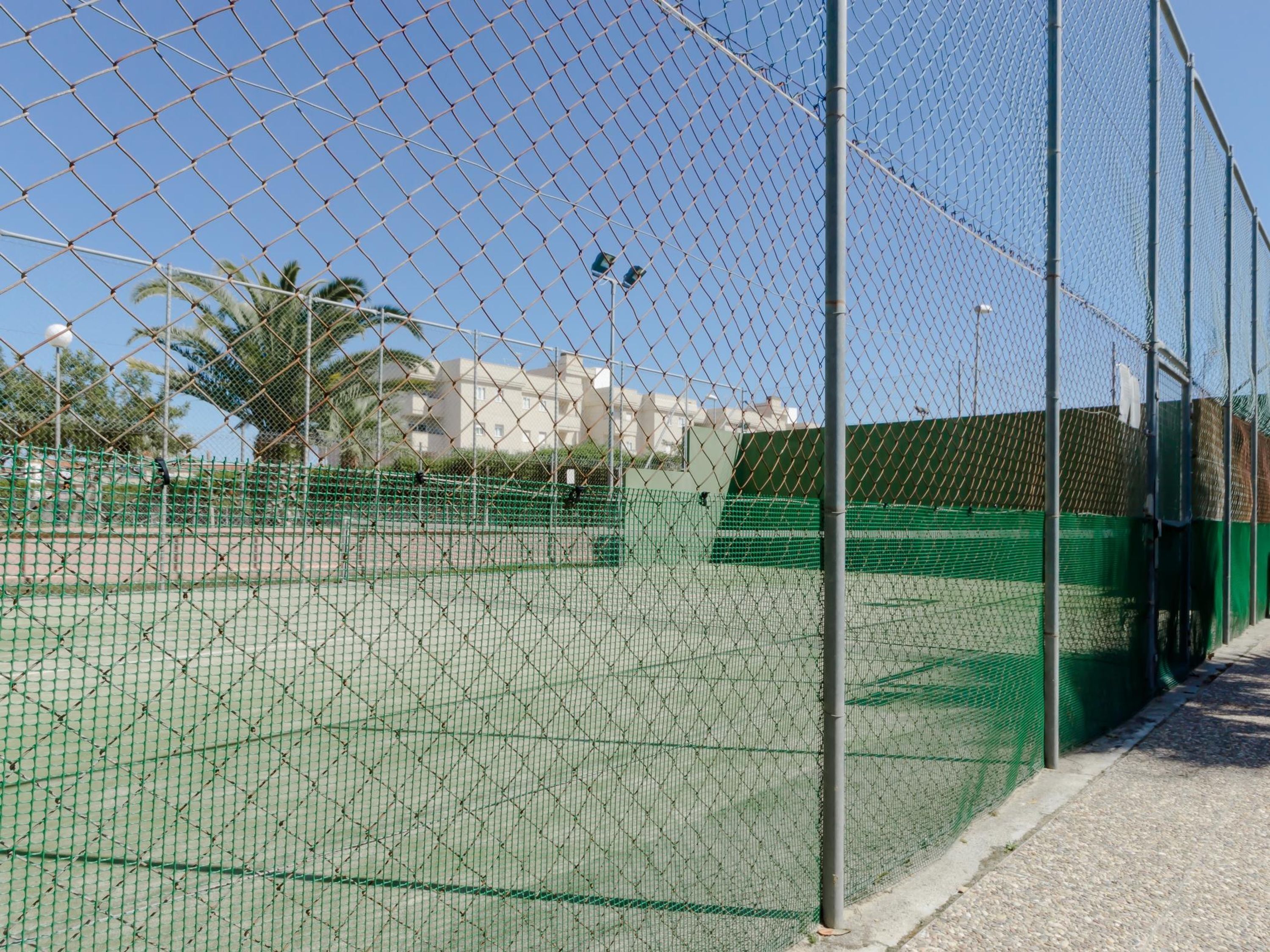 Una cancha de tenis rodeada por una cerca de malla metálica, una red verde, un camino pavimentado y palmeras.