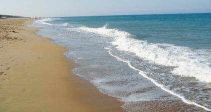 Villa El Lagar 14238