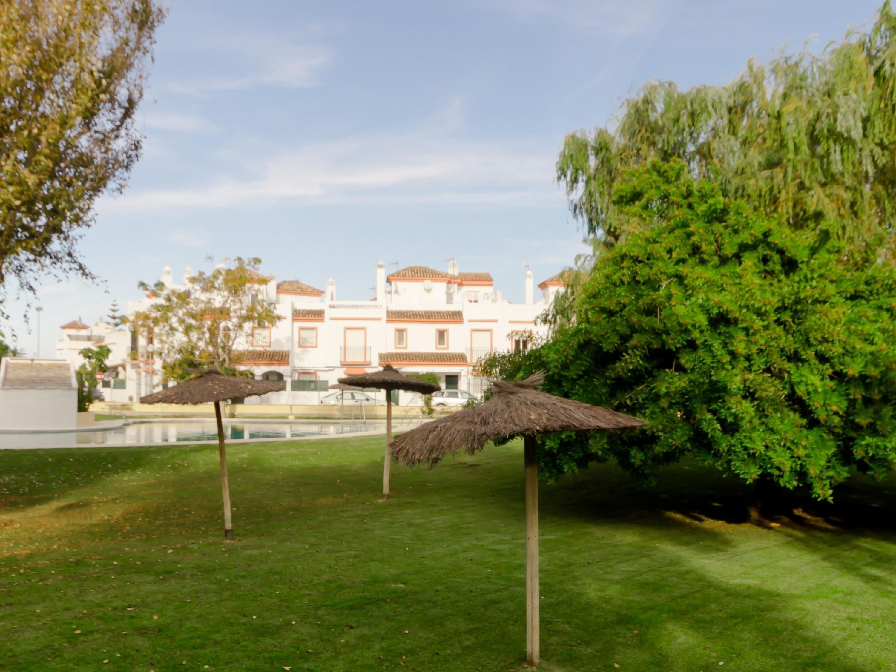 Ein gepflegter Garten mit Pool, einem großen Baum und einem Gebäude mit Ziegeldach im Hintergrund.