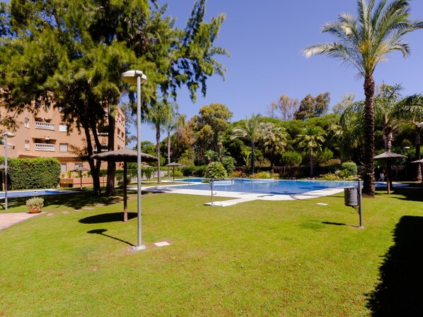 Zona de piscina con una piscina azul cristalina, rodeada de césped cuidado y palmeras.