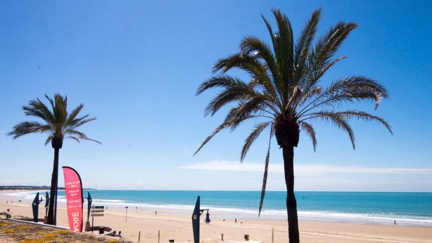 A beach with palm trees and a clear sky. - La Giralda 16584 in Chiclana (Chiclana de la Frontera)