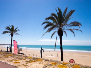 Ein Strand mit Palmen und blauem Himmel.