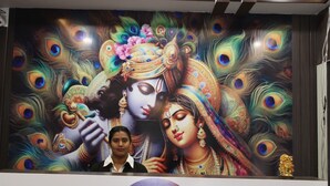 A mural with peacock feathers and a figure in traditional attire. - Avexia Premiere (Chittorgarh)