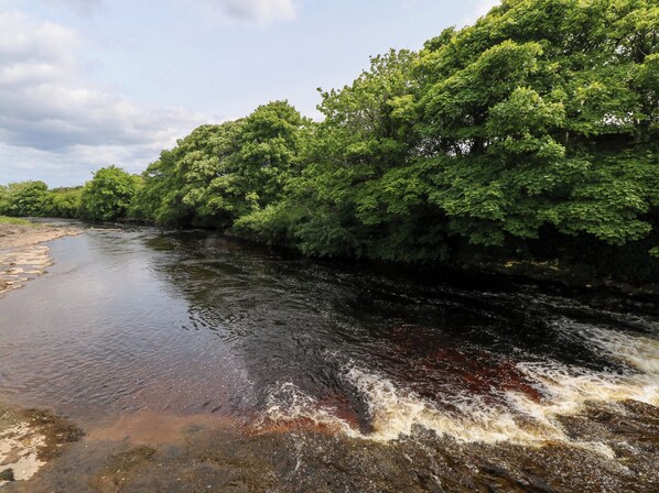 A river with a rocky bank and dense green foliage.