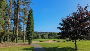 A pathway leading through a golf course with trees and sand bunkers. - An Teach Ban (Bunclody)