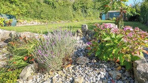 A garden with various plants and rocks, a small shed, and a house in the background. - An Teach Ban (Bunclody)