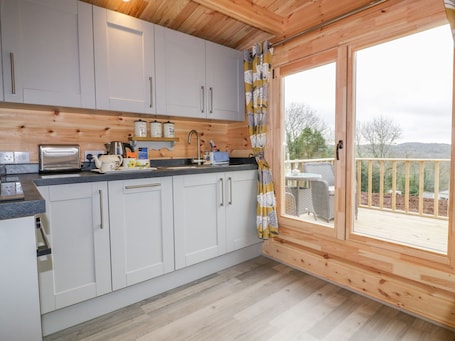 Fridge, dishwasher, cookware/dishes/utensils