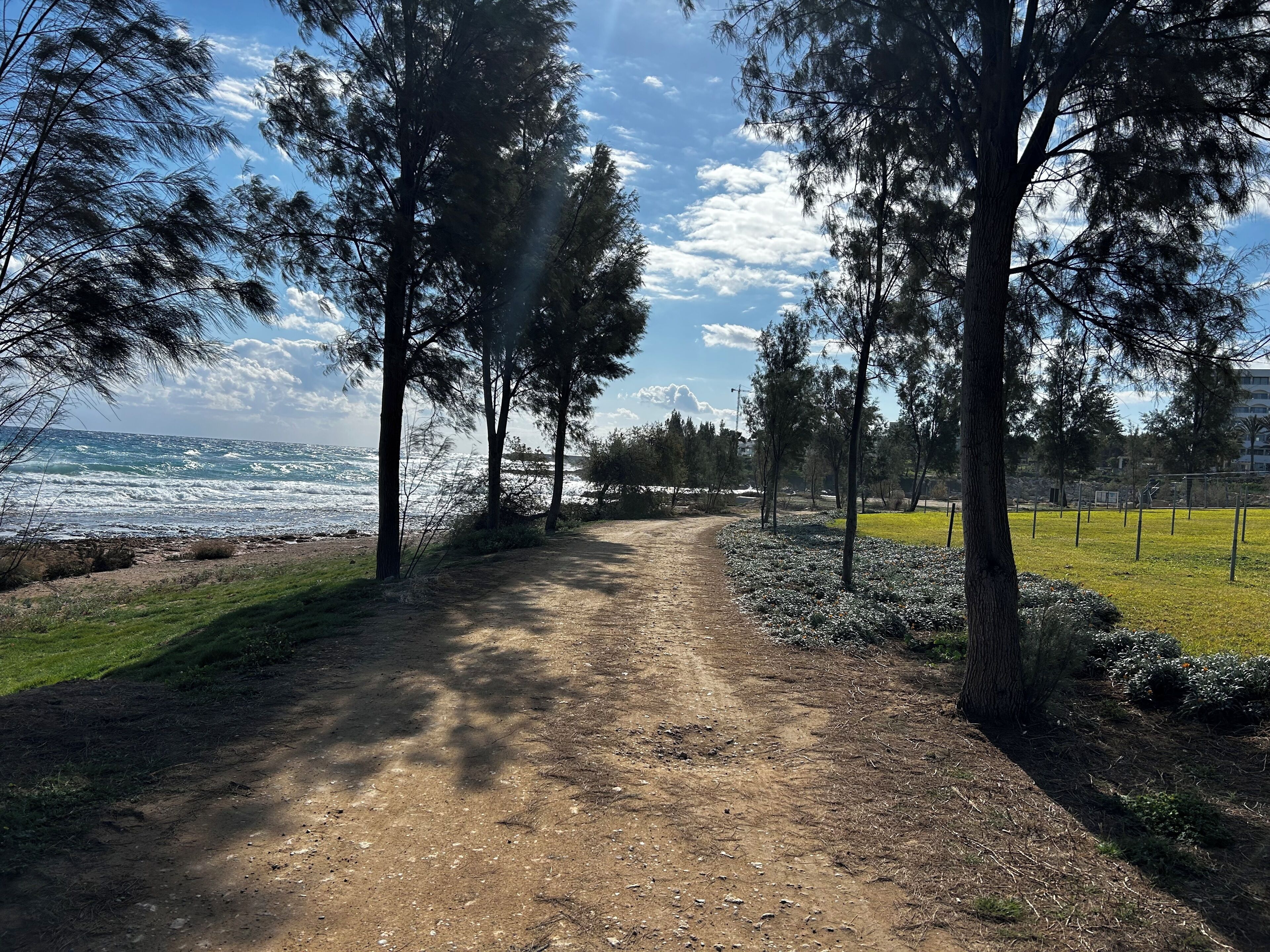A dirt path leading to a beach with trees on either side and a view of the ocean.
