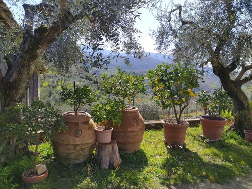 Peroni farmhouse - apartment on family farm