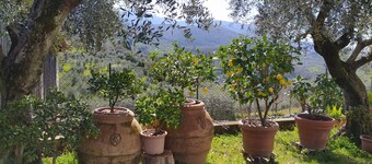 Peroni farmhouse - apartment on family farm