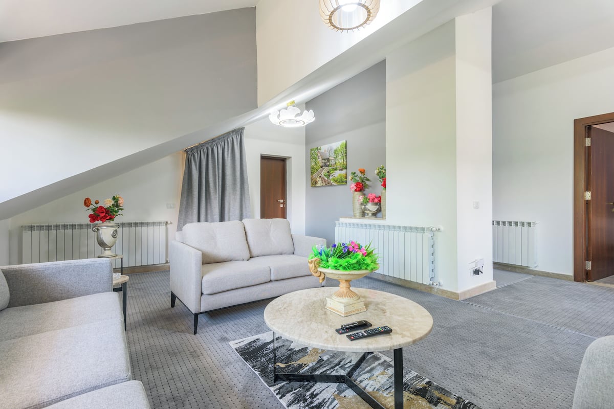 Apartment, 1 Bedroom, Non Smoking, Mountain View | Living area | 42-inch Smart TV with cable channels, fireplace