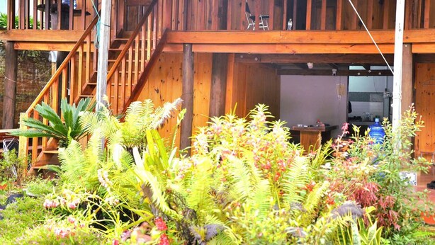 A wooden deck with a staircase leading to an upper level, surrounded by lush tropical plants. - Thanh Binh Homestay Mang Den TT Mang Den (Mang Den)