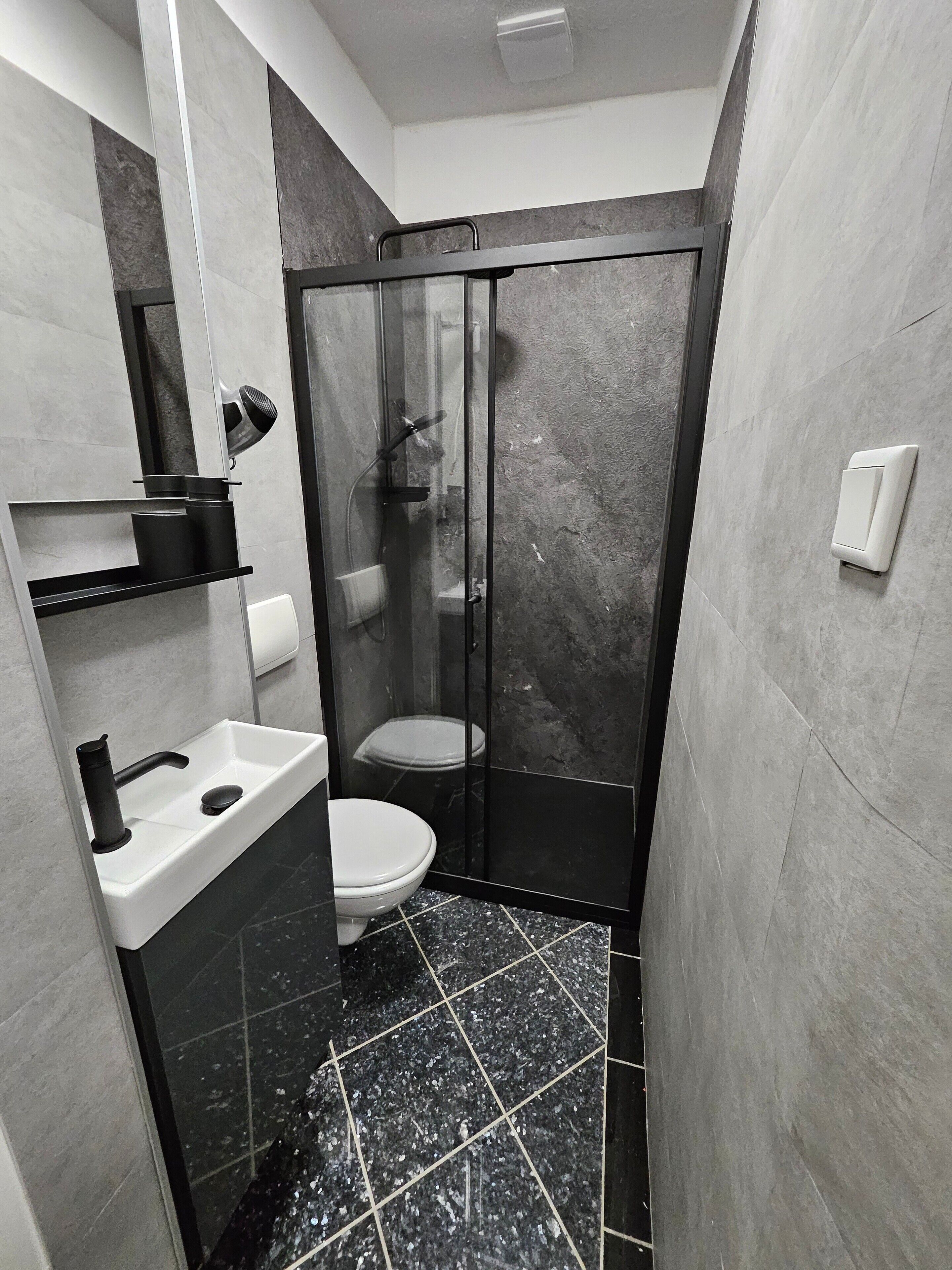 Shower, hair dryer, towels