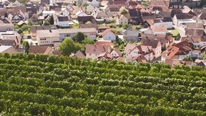 Une ville avec une église, des vignobles et des maisons aux toits rouges.
