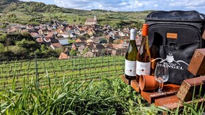 Un vignoble offrant une vue panoramique sur un village en arrière-plan.