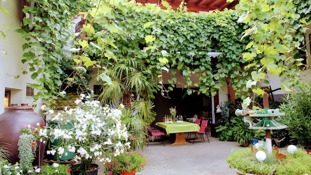 A courtyard with a table and chairs, surrounded by potted plants and a large vase.