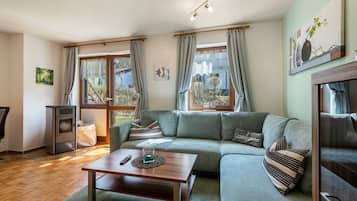 TV, fireplace, table tennis