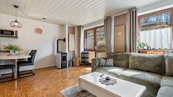 Televisio, takka, pöytätennispöytä