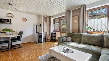 TV, fireplace, ping pong