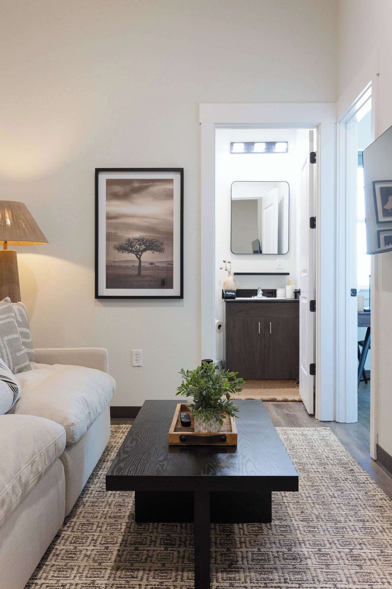 Televisión y oficina 