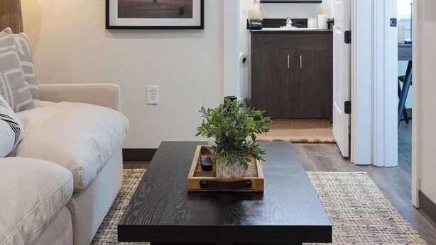 Una sala de estar moderna con un sofá, una mesa de centro con una planta, un cuadro en la pared, una zona de cocina con armarios y un espejo, y una puerta que da a otra habitación.