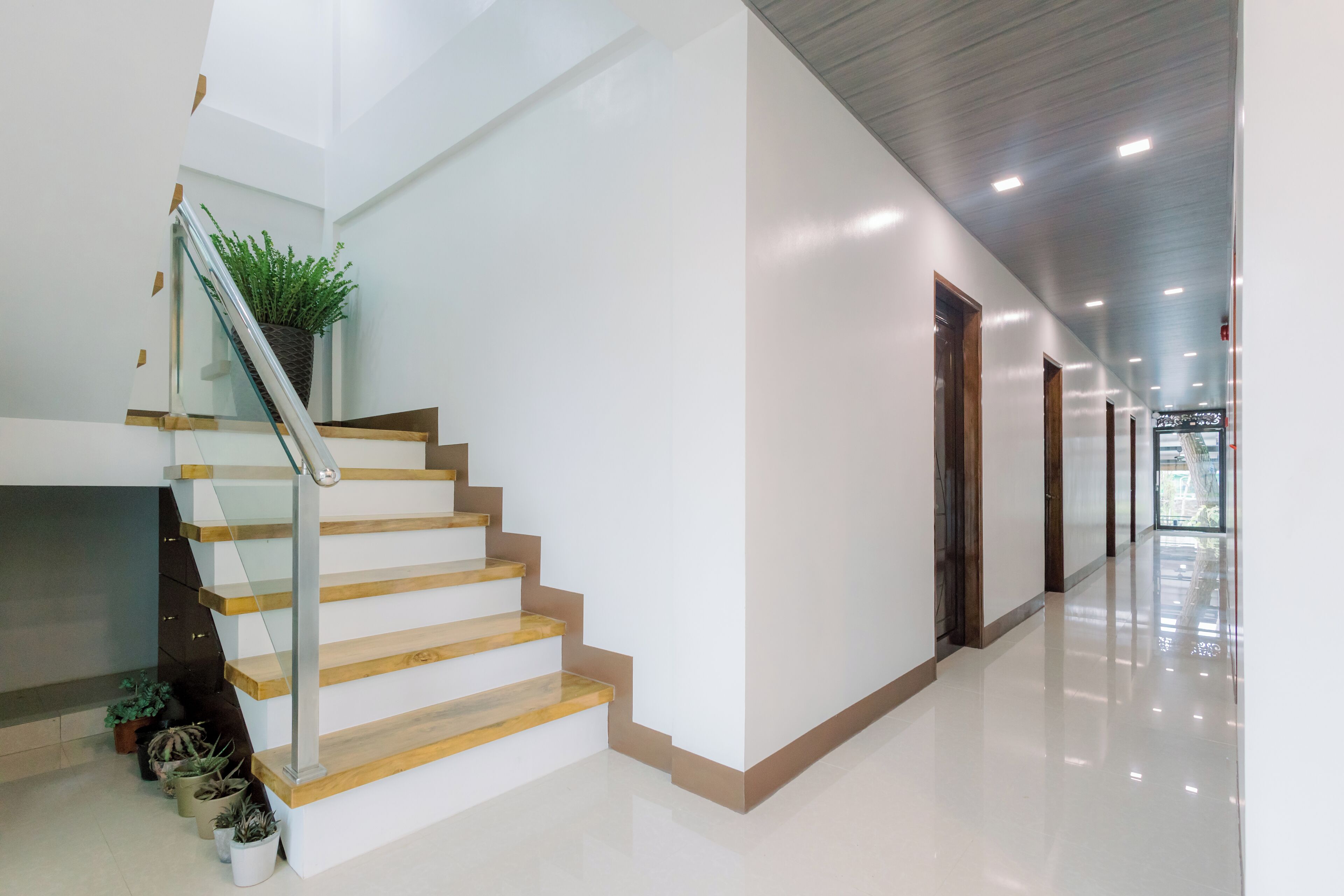 A modern interior with a staircase, a plant, and a hallway leading to a door.