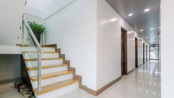 A modern interior with a staircase, a plant, and a hallway leading to a door.