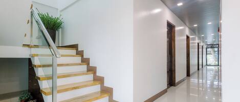 A modern interior with a staircase, a plant, and a hallway leading to a door.