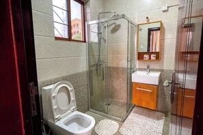 Een badkamer met een douche met glazen wand, toilet, wastafel en spiegel.