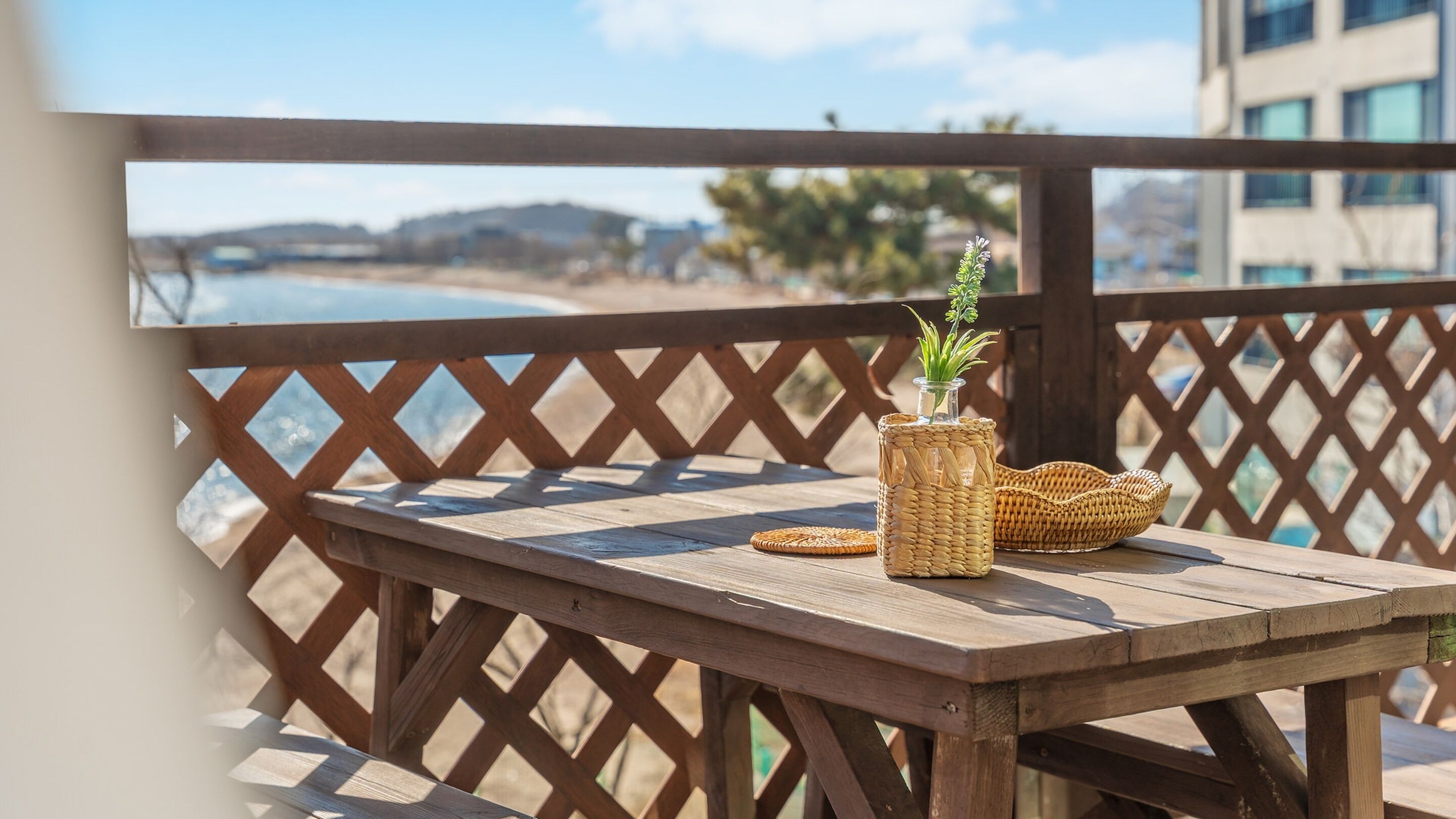 Basic Room, 1 Bedroom (Room 202(Ocean View /BBQ /Terras)) | 1 bedroom, free WiFi