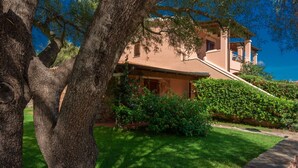 A house with a stone pathway leading to the entrance, surrounded by lush greenery and trees.