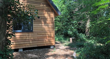 Woodland Cabin Retreat in Alfriston - hot tub