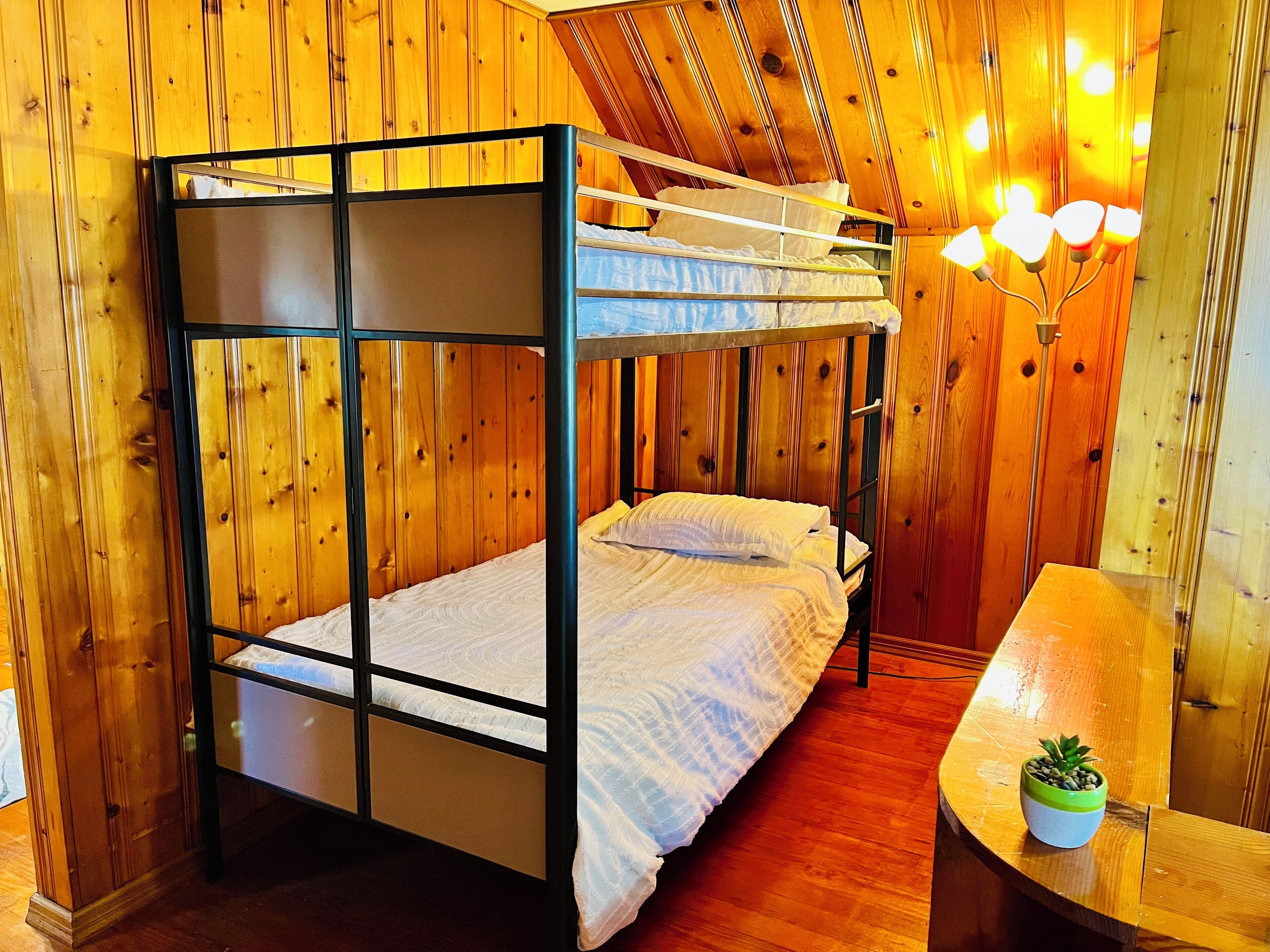 A bunk bed room with wooden walls and a small table with a plant.