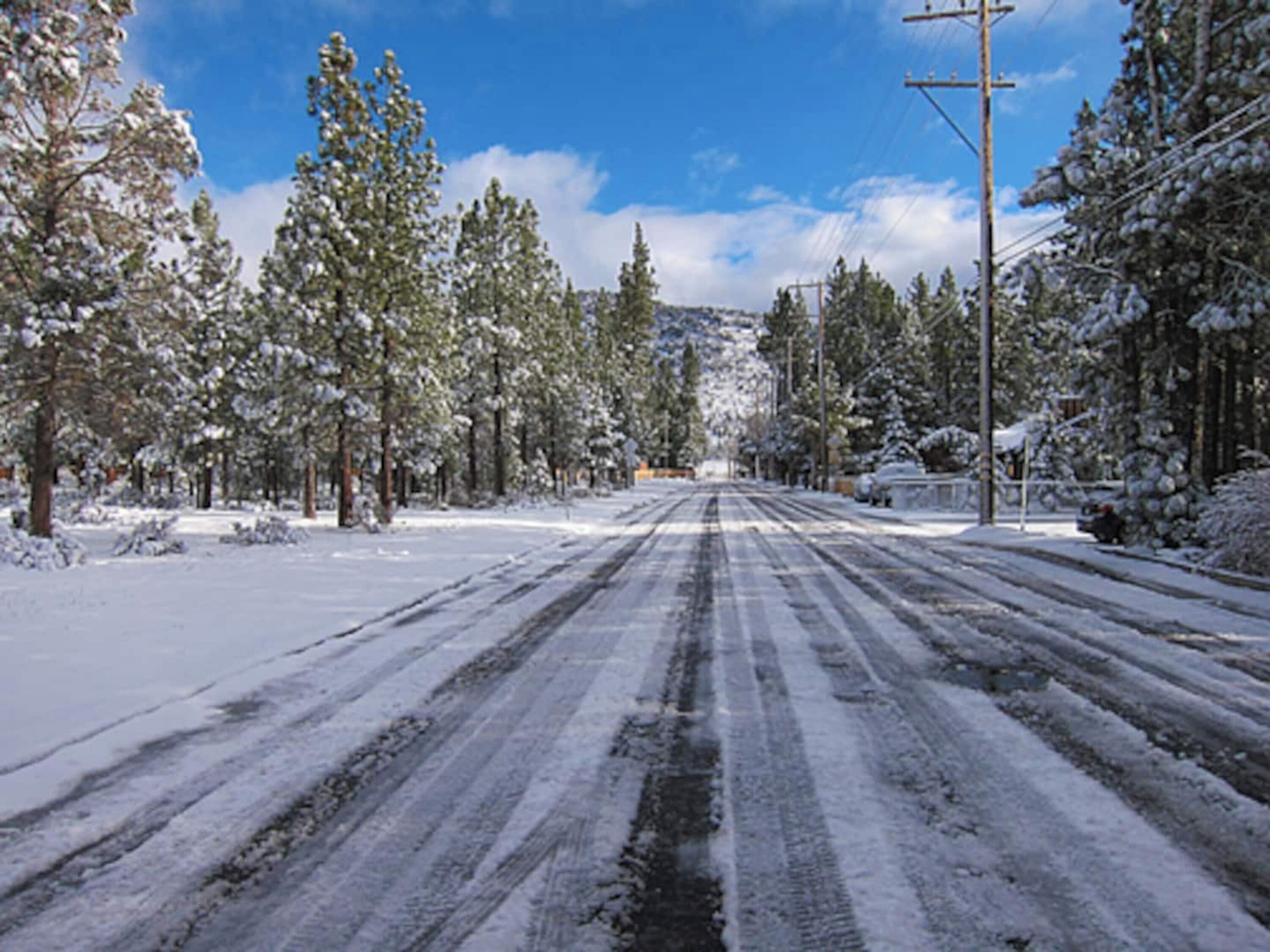 A snow-covered road flanked by trees and utility poles.