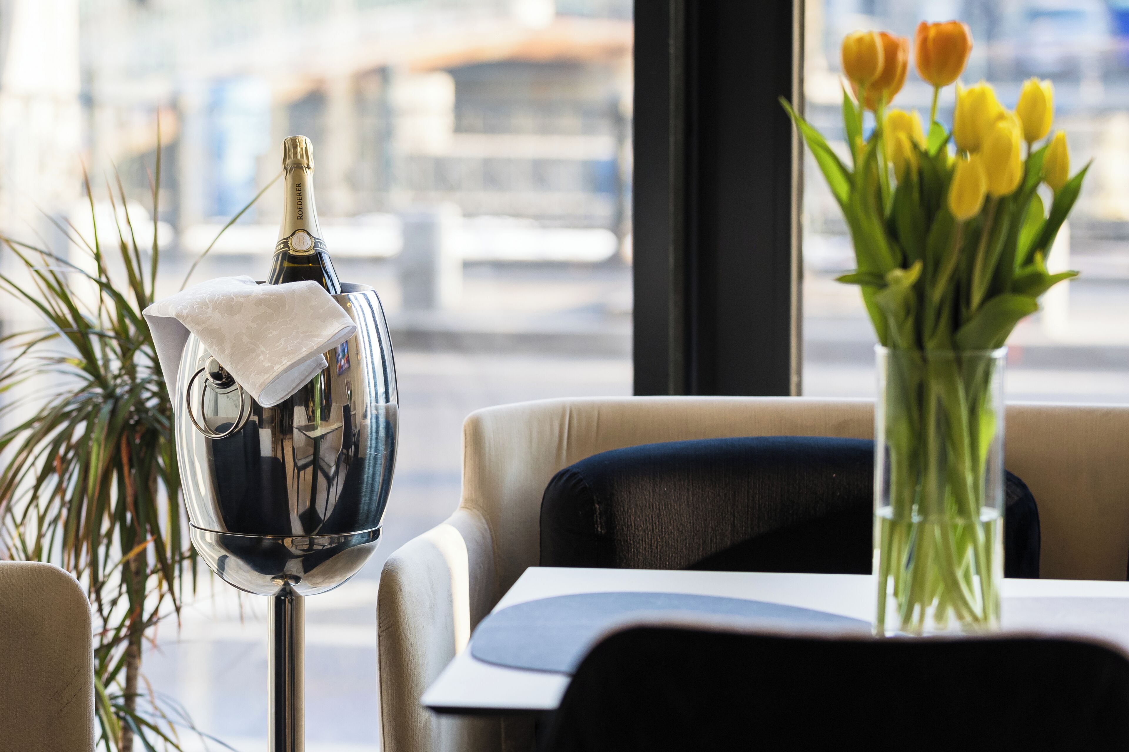 Bar (en el alojamiento)