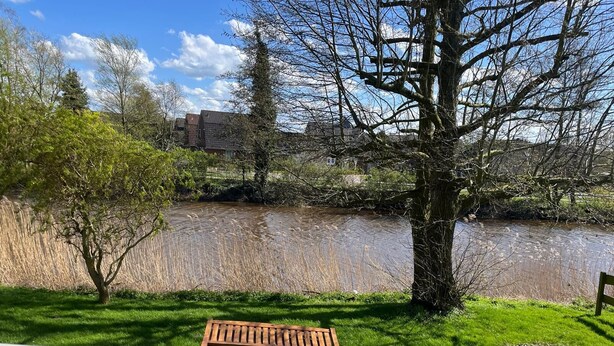 Un río con un banco de madera y un árbol en un área cubierta de césped.