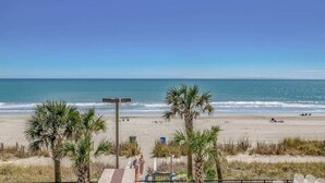 A beach view with palm trees, a pathway, and beachgoers. - New Landmark Resort Direct Oceanfront - Low Floor! (Myrtle Beach)