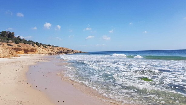 Une plage avec un ciel dégagé et des vagues douces.