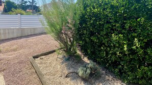 Een tuin met grindpaden, een witte omheining en diverse struiken en planten.