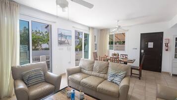 TV, fireplace, DVD player, video library