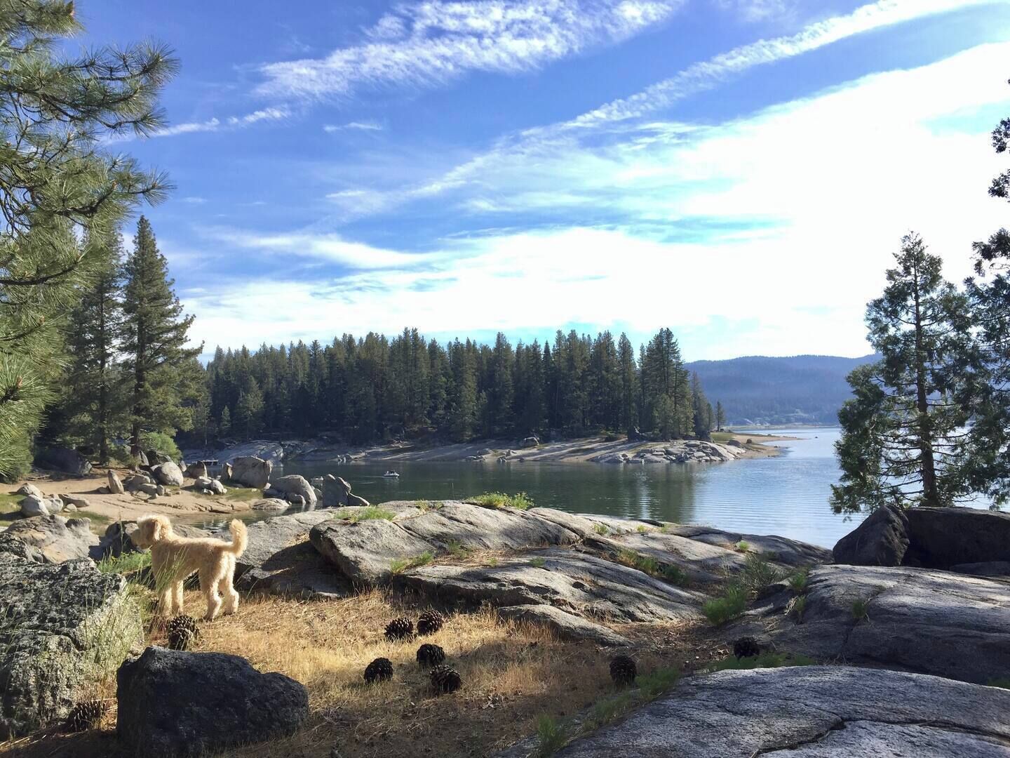 A natural landscape with a lake, rocky terrain, and dense forest.