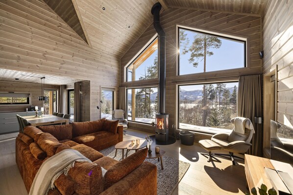 Smart TV, fireplace, stereo