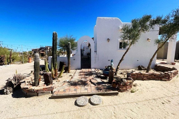 Desert landscaping with native cactus plants surrounds Casa Ramada in El Dorado Ranch San Felipe BC Mexico — low maintenance and beautiful.