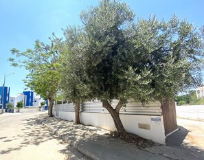 Property grounds - Greek Style Villa Blossom, 5-Bedroom Short Walking Distance To Fig Tree Bay (Protaras)