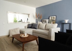 Fernseher, Arbeitsbereiche